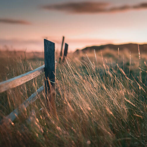 Weathered Fence